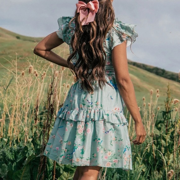 JessaKae XSmall perfect dress with Birds. - Picture 10 of 13